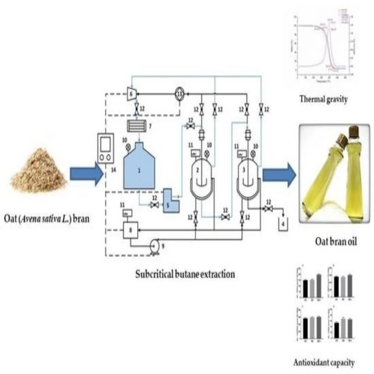 Subcritical water extraction